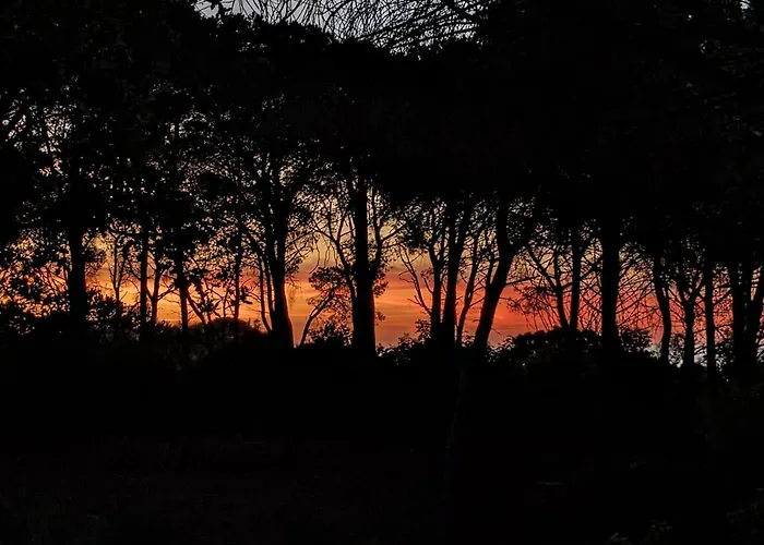 Vila Seawoods - Nature Experience *