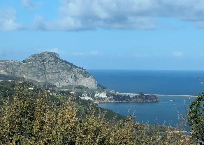 Vila Seawoods - Nature Experience