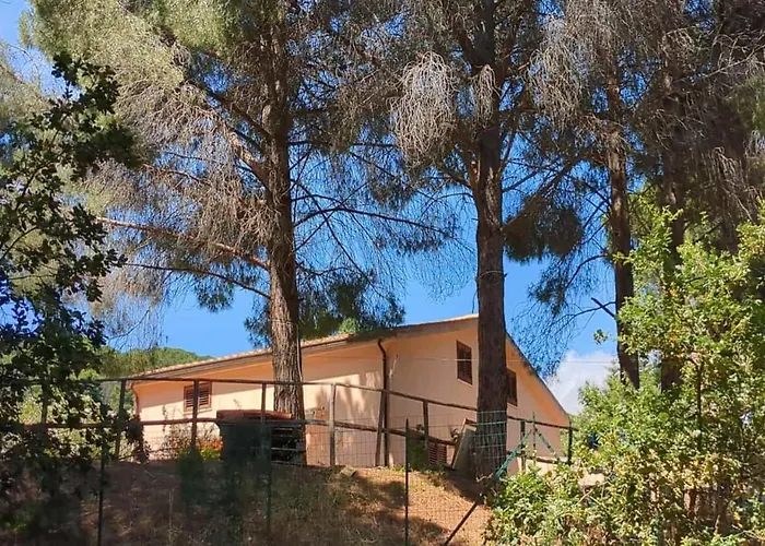 Seawoods - Nature Experience