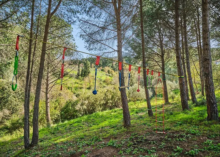 Vila Seawoods - Nature Experience